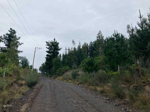 Imagen 5 de 10 de Fundo Santa Clara, Laguna Trupán