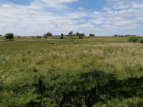 Imagen 7 de 14 de Campo A La Venta - Ruta 65 Km 90 - 11 Has . Índice Coneat 156, Ute Y Ose A 350 Mts.