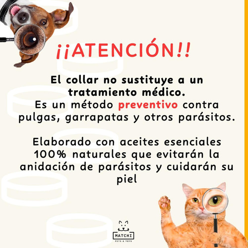2pack Collar Antipulgas, Perros Y Gatos Protección 8 Meses Lila