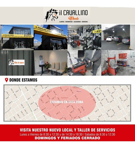 Tapa Para Centro De Llanta Ford Original Azul Cavallino