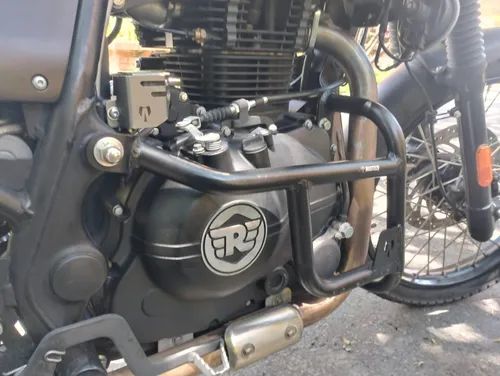 Royal Himalayan En Un Exce Estado Único Dueño De Agencia