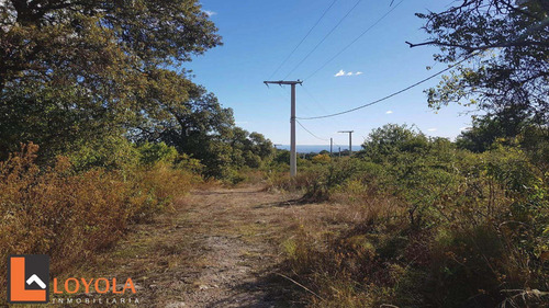 Imagen 23 de 30 de Carpintería, Lotes De 5000 M2