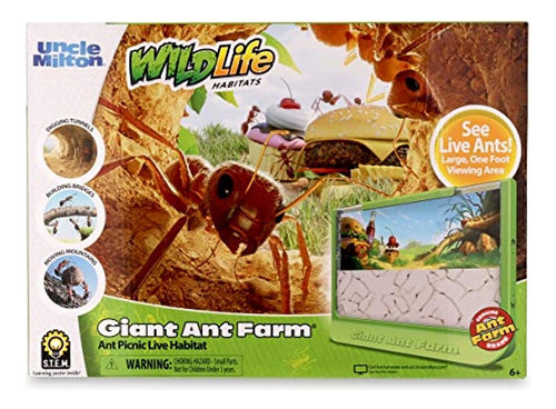 Uncle Milton Giant Ant Farm Nuevo Kit De Diseño