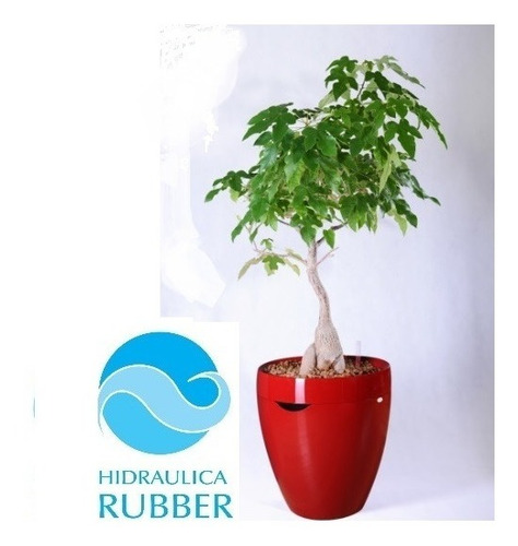 Imagen 1 de 6 de Maceta Auto Riego Calimera 35cm Hidraulica Rubber