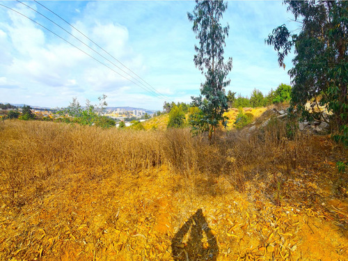Espectacular Terreno De 10.000m² Hacienda Reñaca