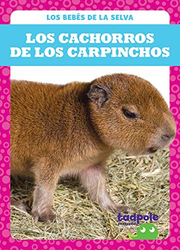 Los Cachorros De Los Carpinchos -capybara Pups- -los Bebes D