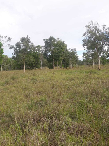 Te Vendo Excelente Finca En El Bosque De Monte Plata