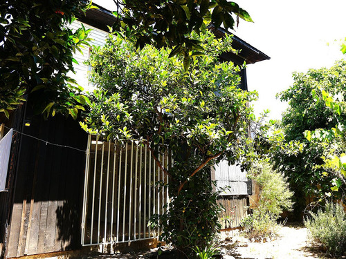 Condominio Con 2 Casas En Limache.