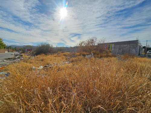 Terreno En Venta En Fracc. Ex Hacienda Los Ángeles 800 M2 Torreón Coah