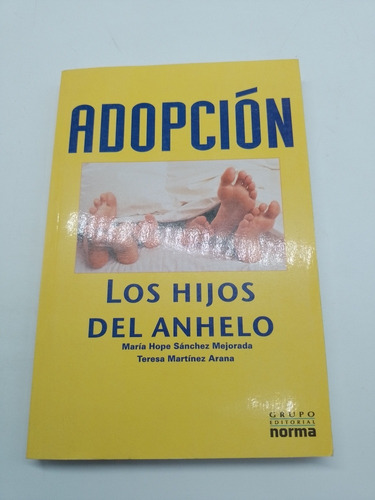 Adopción Los Hijos Del Anhelo Sánchez Y Martínez