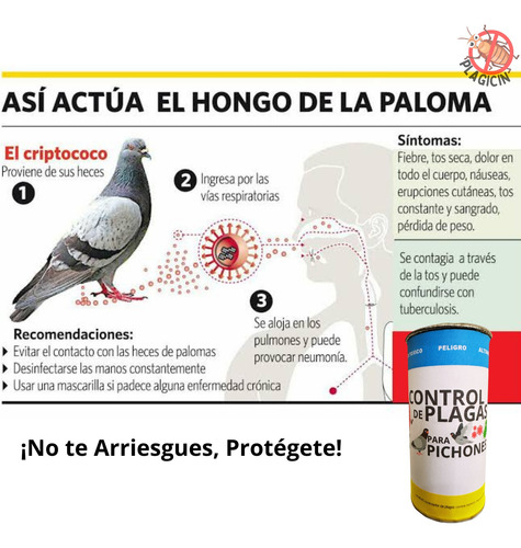 Veneno Para Pichones Plaga Palomas Rinde 1kg De Alimento
