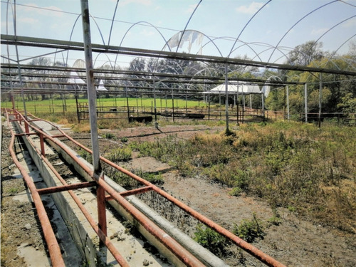 Rancho En Acatlán, Hidalgo (producción Ganadera Y De Queso).