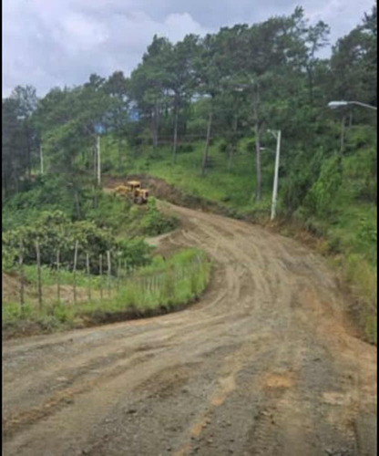 Título Deslindado