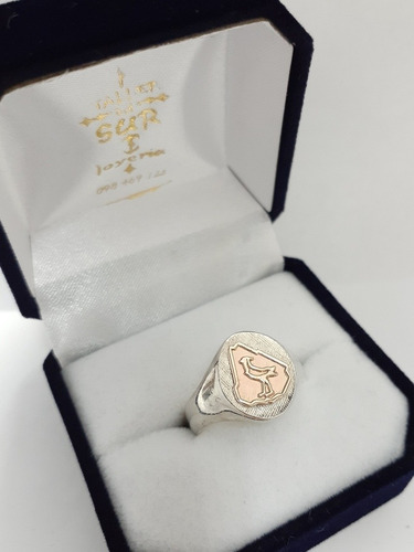 Anillo De Plata Y Oro.  Profesión Ingeniero Agrónomo