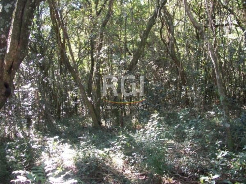 Terreno Em Teresópolis - Vi1060