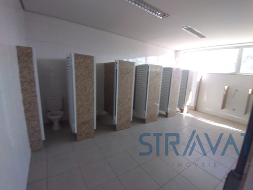 Imagem 26 de 30 de Galpao - Gl00052 - 69909631