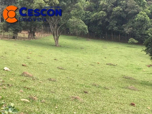 Imagem 1 de 26 de Chacara - Ch00012 - 31910680