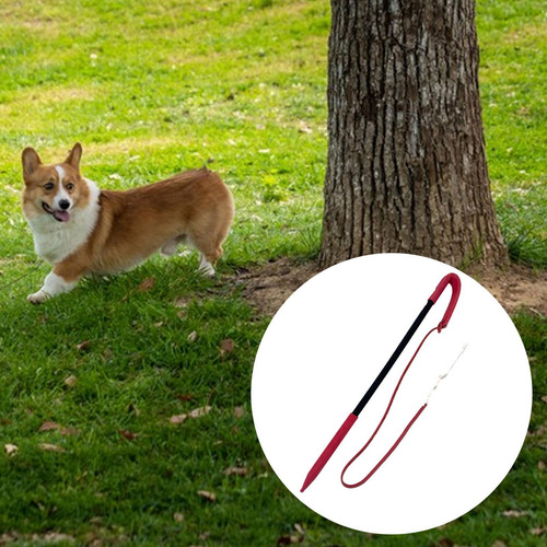 Pedramas De Entrenamiento De Perros Teaser Rojo Negro