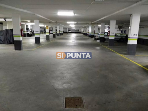 Imagen 8 de 14 de Apartamento En Venta, Punta Del Este, Roosevelt