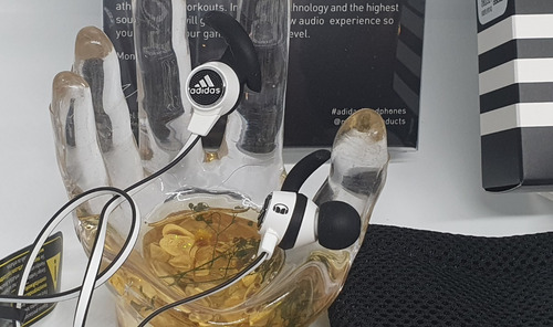Auriculares adidas Originales Sport Con Bolso Repuestos