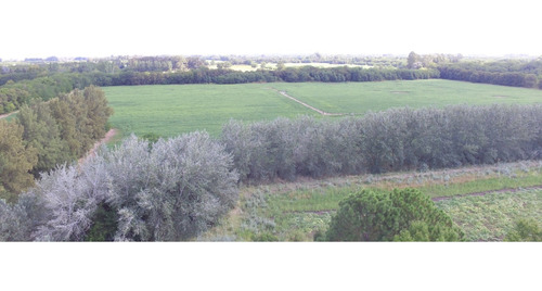 Chacra De Monte Claro. 15 Lotes De 1ha, Barrio Abierto, Zona Rural