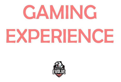 Gameday Experience Maycam Evolve X Prex