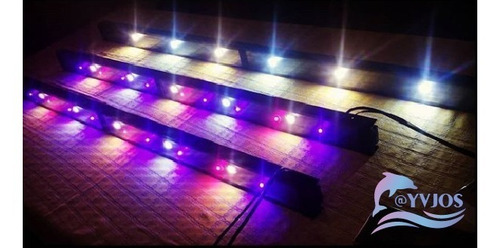 Pack 4 Led 10w Alta Potencia 7000 10000 20000 30000 K -$10