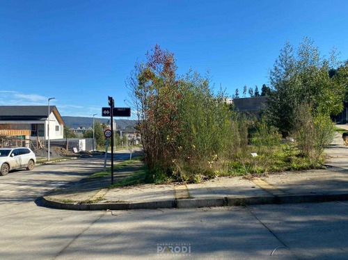Imagen 1 de 7 de Av. Quinta Junge
