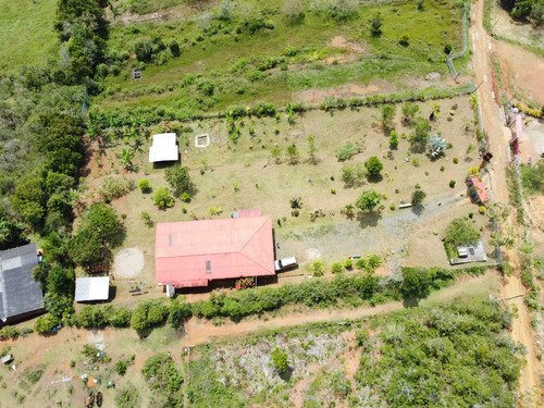 Venta De Finca En Tocota 