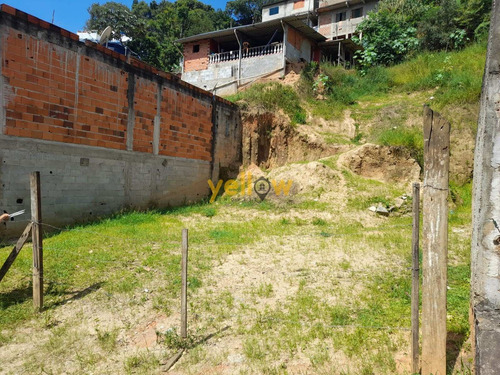 Imagem 5 de 5 de Terreno - - Te-5100