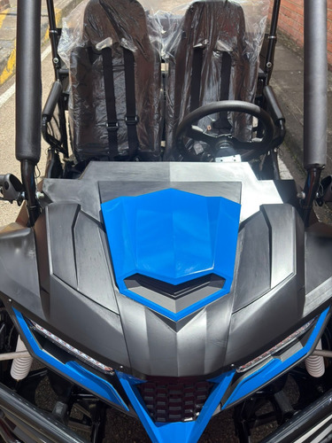 Cuatrimoto Buggie 200 Arenero Nuevo 2025