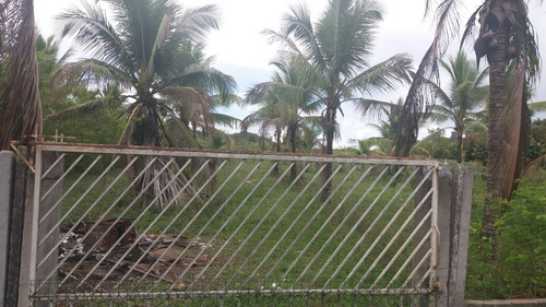 Chácara/sítio Em Esplanada Ba, Com 7 Hectares Com Casa E Rio