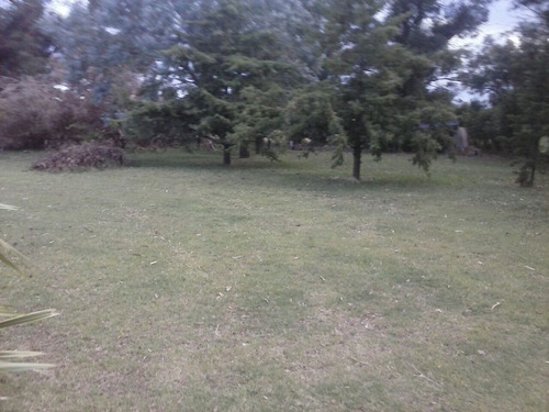 Imagen 11 de 30 de Campo Mixto En San Cayetano