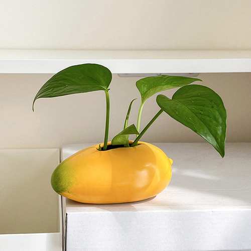 Jarrón De Cerámica Con Forma De Mango, Maceta Decorativa