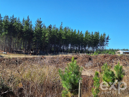 Sitio En Venta En Pichilemu.