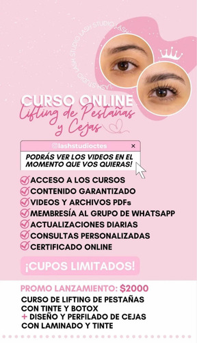 Imagen 2 de 3 de Curso Online Lifting De Pestañas Y Laminado De Cejas