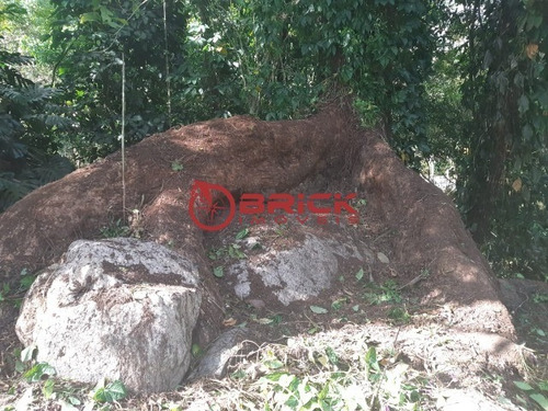 Terreno - Guapimirim - Ref: 34227253 - V-te00250