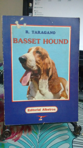 Basset Hound // R. Taragano