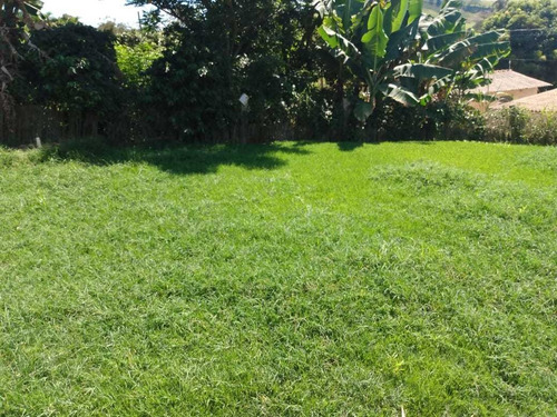Vende Se Chácara Com 700 Mtr Localizado Em Socorro