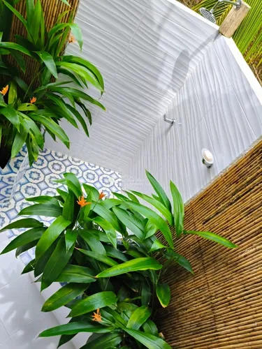 Lote Con Cabaña En Venta Con Acceso Directo Al Mar