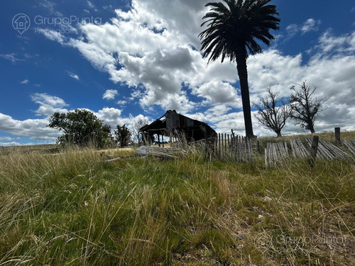 Campo En Venta - Rocha