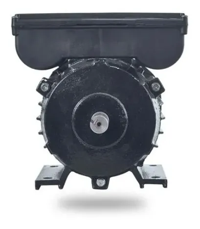 Motor Eléctrico 1hp Monofásico 110/220v A 1.800rpm