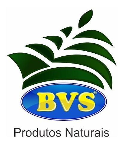 Chá De Quebra Pedra (phyllanthus Spp) 40 Gramas - Bvs Ervas
