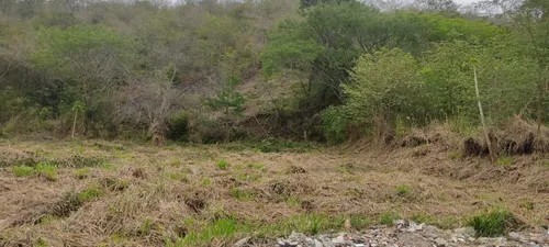 Lote En Venta En Venecia. Cod V12513