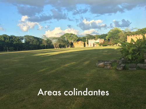 Imagen 9 de 13 de Terreno De 7.98 Has En Tixpéhual Yuc. A Espaldas De Casco De Hacienda.