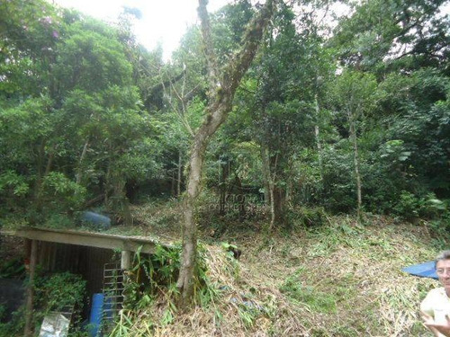 Terreno À Venda, 4085 M² Por R$ 2.000.000,00 - São Caetaninho - Ribeirão Pires/sp - Te0163