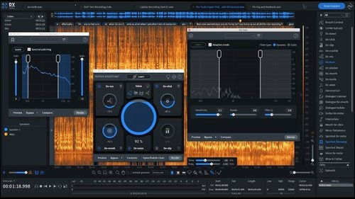 Audio Plugin Izotope Rx10 Advance Editor