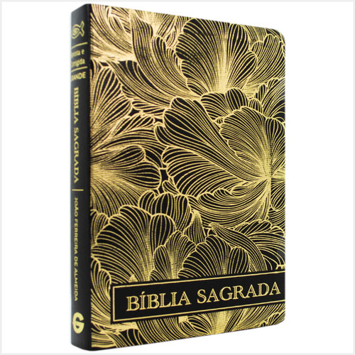Bíblia Sagrada Rc Letra Grande Luxo Especial Dourada, De Vários Cooperadores. Geográfica Editora, Capa Mole Em Português