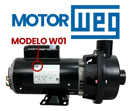 Motobomba Para Cascatas Hmc 6 Motor 2 Cv Bivolt Nautilus