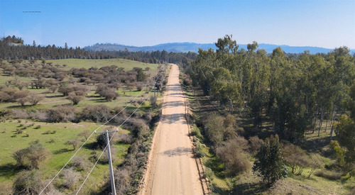 Parcelas En Vichuquén Al Lado De Laguna Torca Y Playa Llico